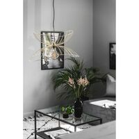 Ray 70 Pendant Brushed Brass