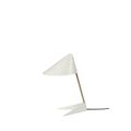 Warm White / Brass