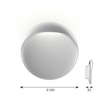 Flindt Wall/ Ceiling Light Ø30 2700K & Dali Aluminum