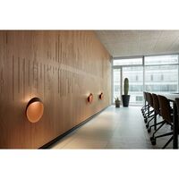 Flindt Wall/ Ceiling Light Ø30 2700K & Dali Aluminum