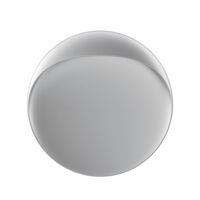 Flindt Wall/ Ceiling Light Ø40 2700K & Dali Aluminum