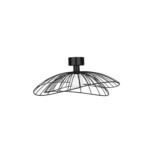 Ray Plafondlamp/ Wandlamp Zwart