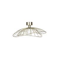 Ray Wall/ Ceiling Light Brushed Brass