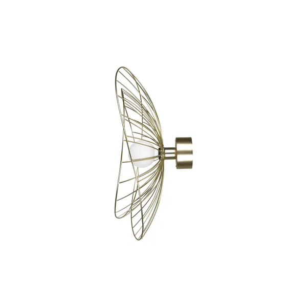 Ray Wall/ Ceiling Light Brushed Brass