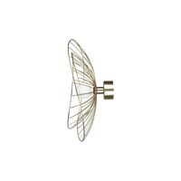 Ray Wall/ Ceiling Light Brushed Brass