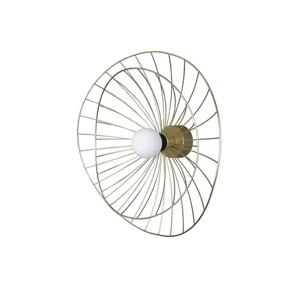 Ray Wall/ Ceiling Light Brushed Brass
