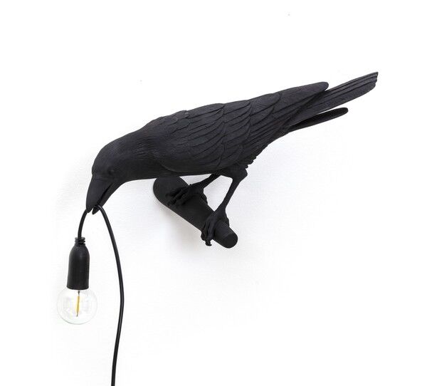 F&aring;gel Tittar V&auml;nster V&auml;gglampa Svart