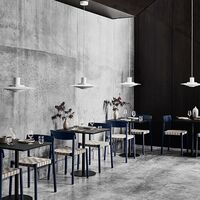 P376 KF2 Pendel Aluminium