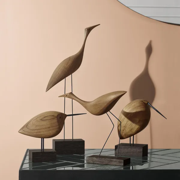 Beak Bird Awake Snipe Teaktræ