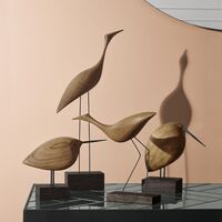 Beak Bird Awake Snipe Teaktræ