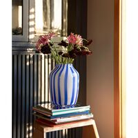 Sapvaas Blauw