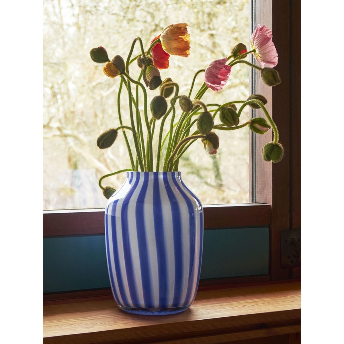 Sapvaas Blauw