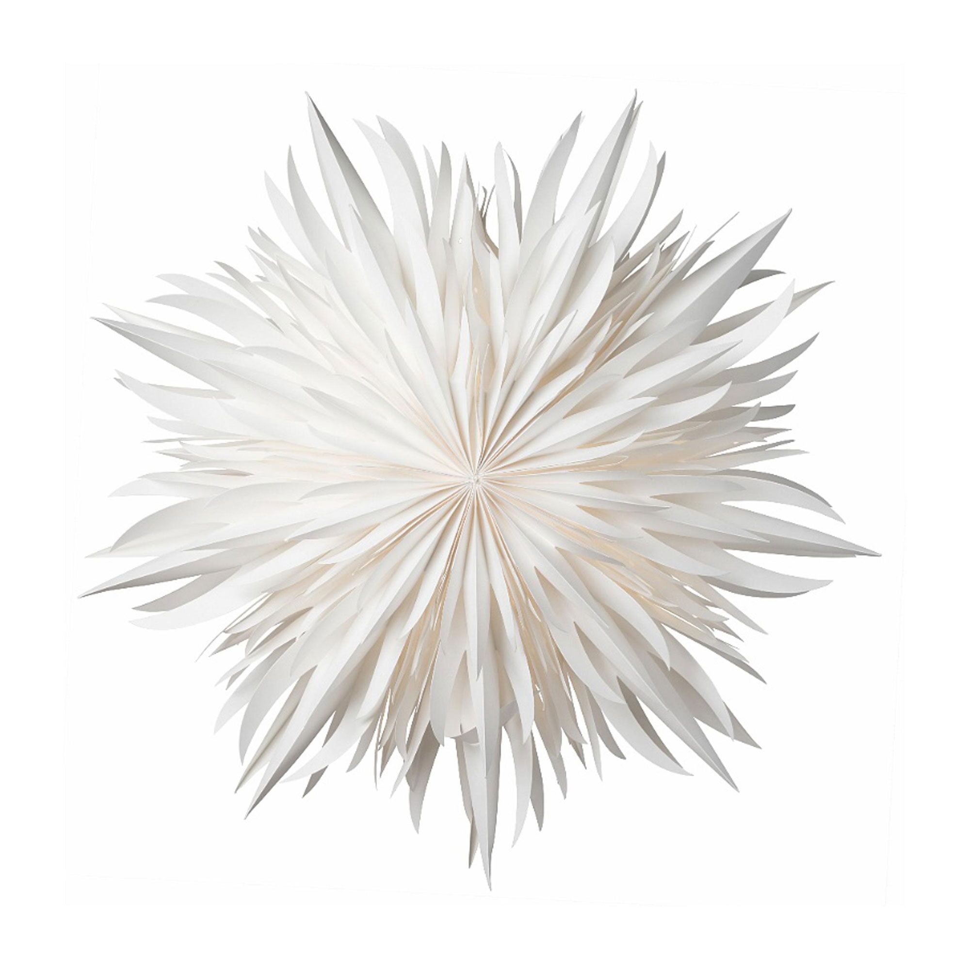 Eldig Étoile de Noël Ø52 Blanc