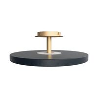 Asteria Up Ceiling Light Gray