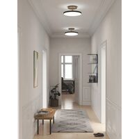 Asteria Up Ceiling Light Gray