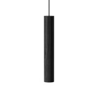 Schwarze Eiche