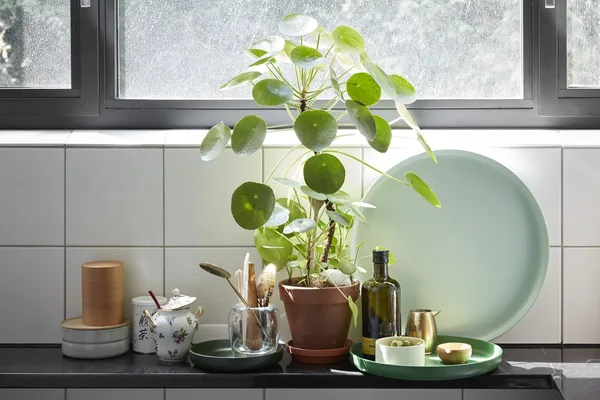 Trays Tray Set with 3 Green