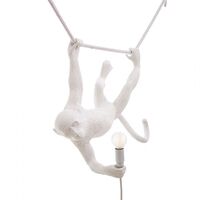 Money Suspension Singe Blanc