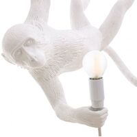 Money Suspension Singe Blanc