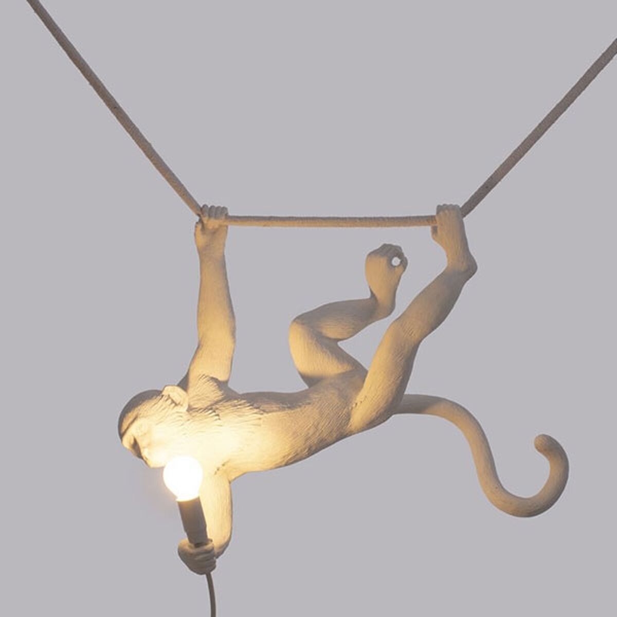Money Suspension Singe Blanc