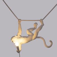 Money Suspension Singe Blanc