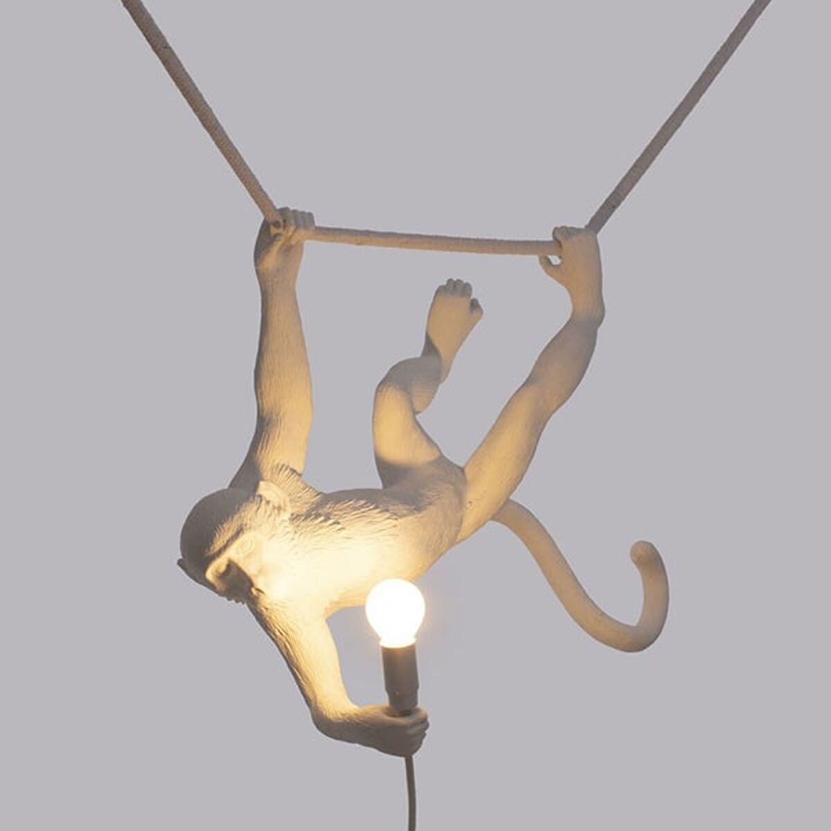 Money Suspension Singe Blanc
