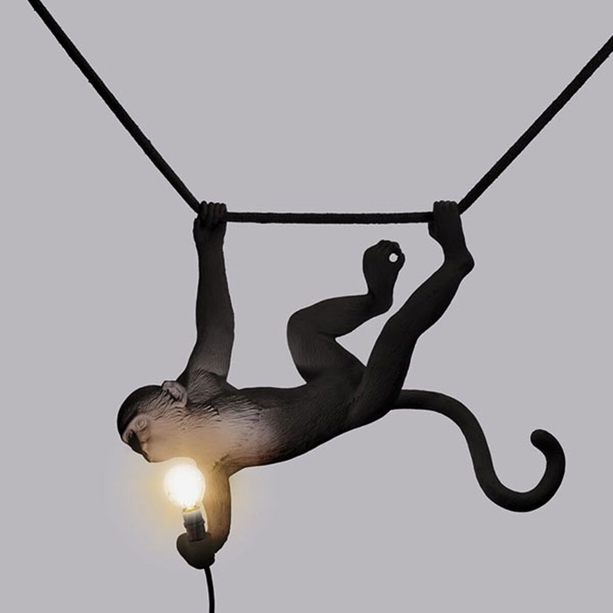 Monkey Swing Lámpara Colgante Negro Exterior