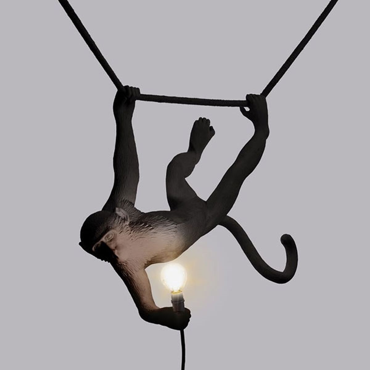 Monkey Swing Lámpara Colgante Negro Exterior