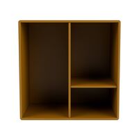 Mini 1002 Bookcase Amber