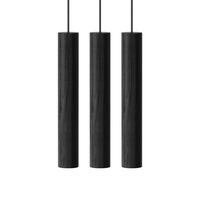 Black oak