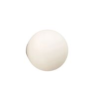 Dioscuri 14 Wand-/ Plafondlamp Wit