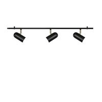Swan 3 Ceiling Light Black