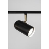 Swan 3 Ceiling Light Black