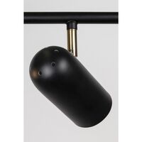 Swan 3 Ceiling Light Black
