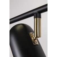 Swan 3 Ceiling Light Black