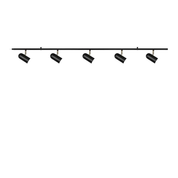 Swan 5 Ceiling Light Black