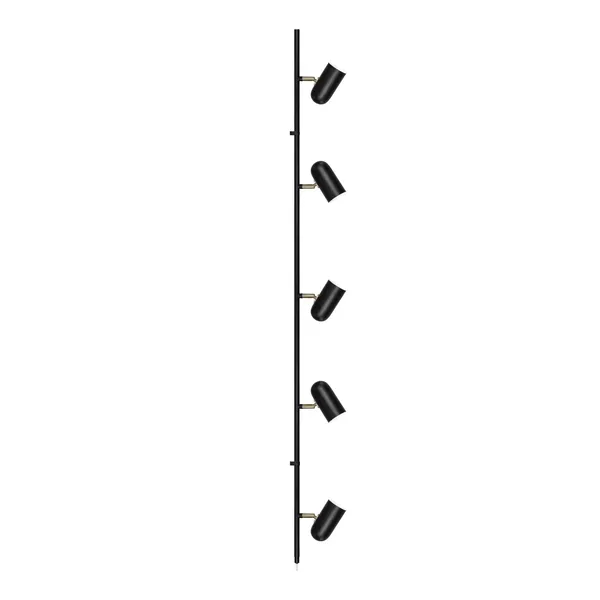 Swan 5 Ceiling Light Black