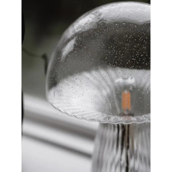 Fungo 30 Table Lamp Special Edition Clear