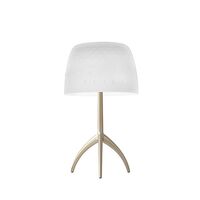 Lumiere Grande 30:e Champagne & Bubbles Dimbar
