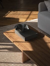 Androgyne Coffee Table Natural Oak