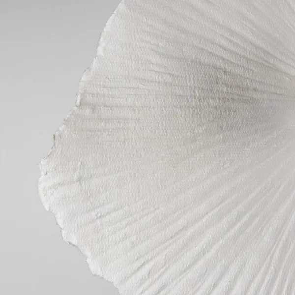 Tropez 60 Ceiling Light/ Wall Lamp Natural