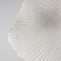 Tropez 60 Ceiling Light/ Wall Lamp Natural