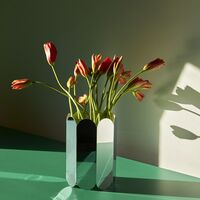 Arcs Vase Spiegel