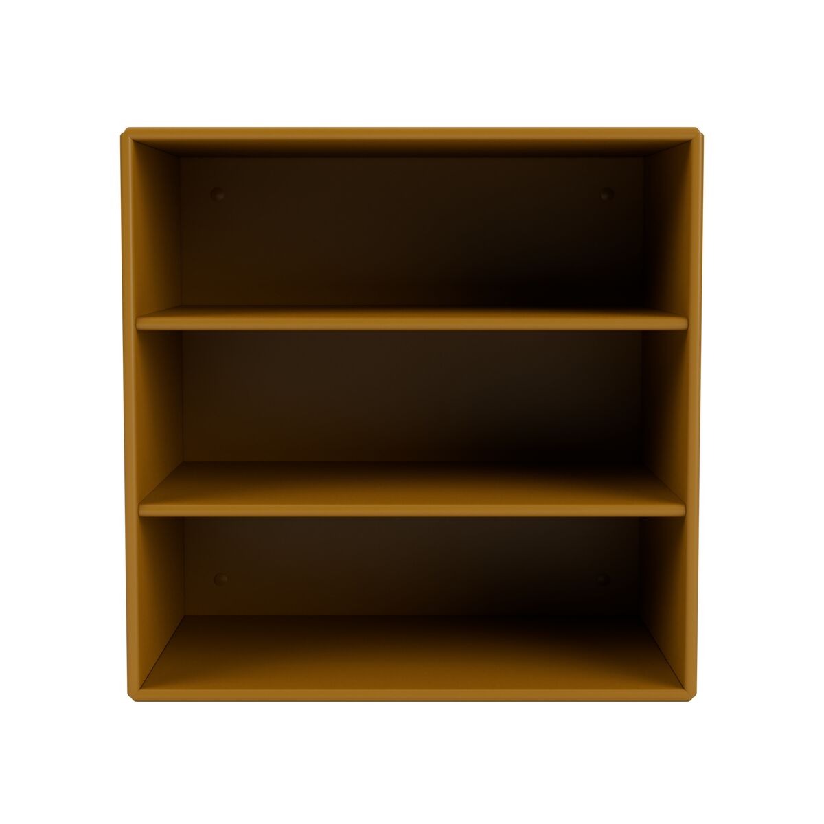 Mini 1004 Bookcase Amber