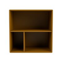 Mini 1102 Bookcase Amber