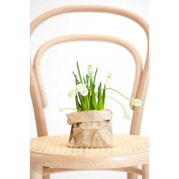 No 14 Dining Table Chair Natural/Beech