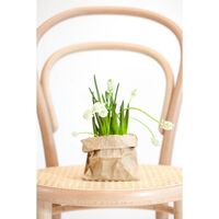 No 14 Dining Table Chair Natural/Beech