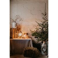 Karin 45 Kerstster Naturel