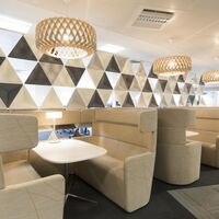 Signature 80 Pendant Birch