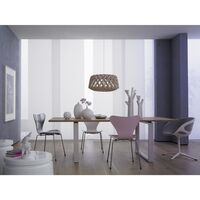 Signature 60 Pendant Birch